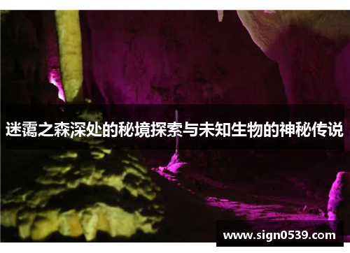 迷霭之森深处的秘境探索与未知生物的神秘传说